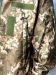 Куртка тактическая софтшелл пиксель штормовка Softshell на флисе